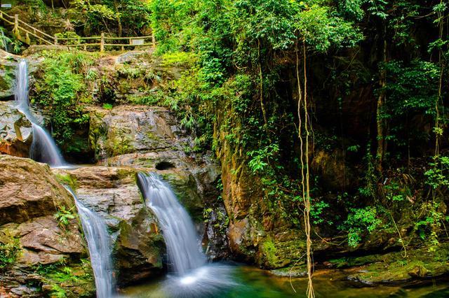 鼎湖山旅游攻略(鼎湖山景区旅游攻略)图12