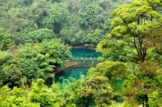 鼎湖山旅游攻略(鼎湖山景区旅游攻略)图13