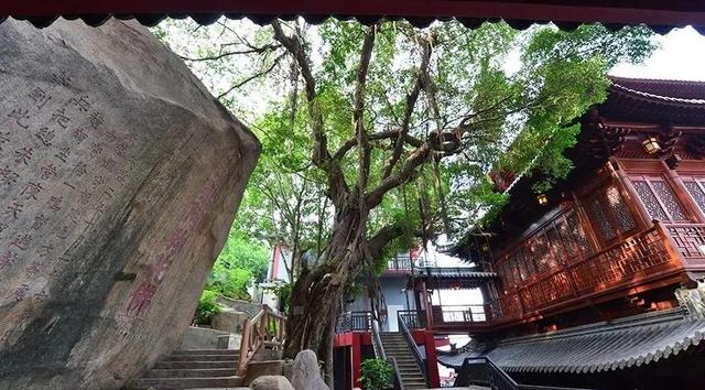 厦门南普陀寺介绍,“厦门南普陀寺景点介绍”图11