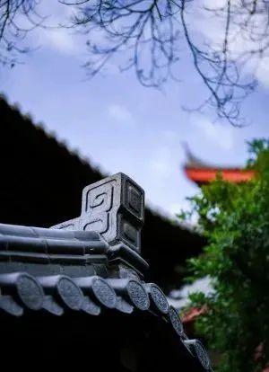 厦门南普陀寺介绍,“厦门南普陀寺景点介绍”图12