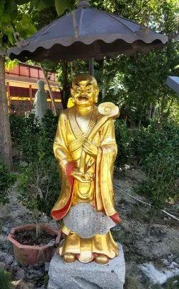 厦门南普陀寺介绍,“厦门南普陀寺景点介绍”图20