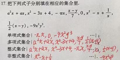 单项式、多项式的知识点加题型整理 单项式的次数图9