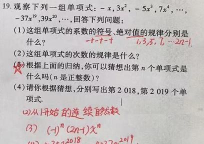 单项式、多项式的知识点加题型整理 单项式的次数图11