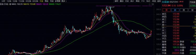 比亚迪第一百万辆新能源车下线(1000000万以上的车)图4