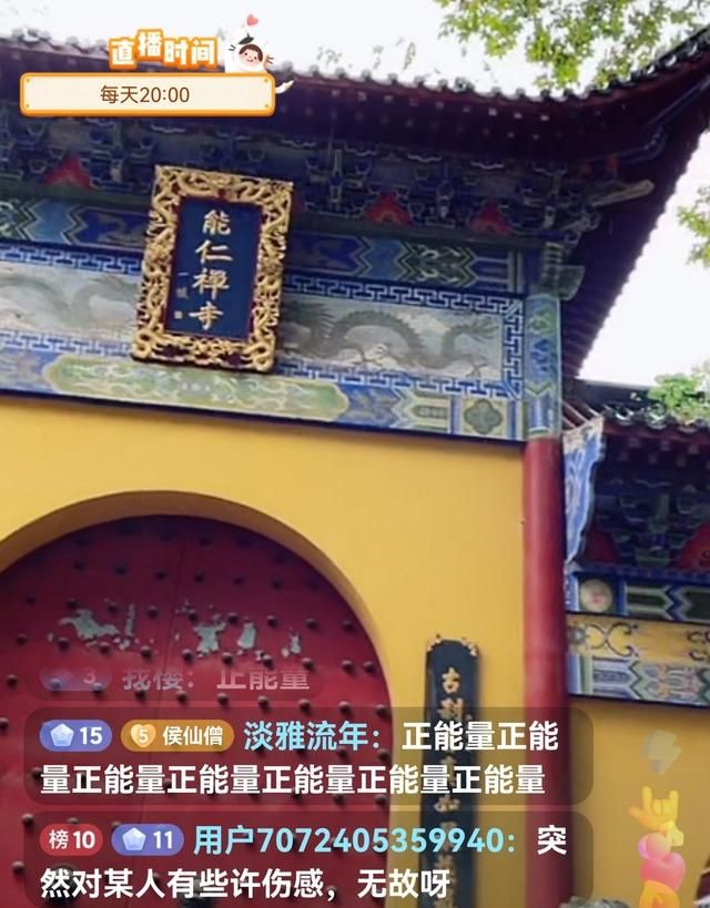 上海东林寺：侯先生到了九江，打卡能仁寺图4