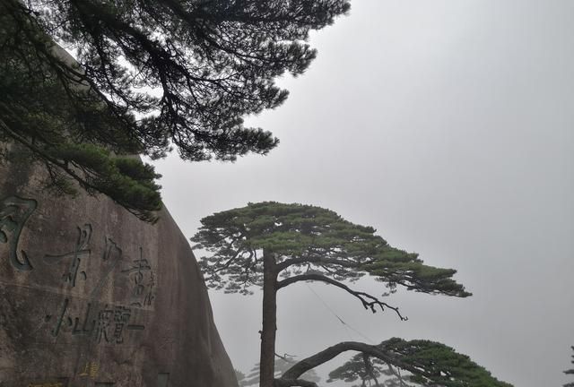 极限挑战黄山旅游，乌镇， 上穷碧落图1