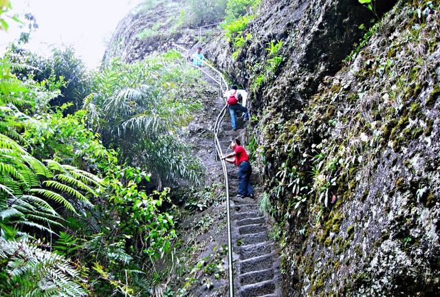 福建龙岩旅游攻略 冠豸山攻略图52