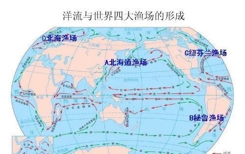 关于太平洋的14个小知识 四大洋是什么图5