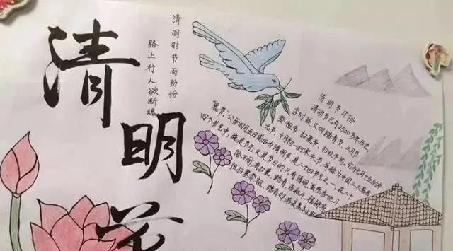 清明节为什么要插柳？(清明节手抄报内容50字)图44