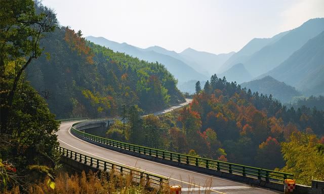 安徽又红了，大别山的叶子要红了(大别山在哪里)图5