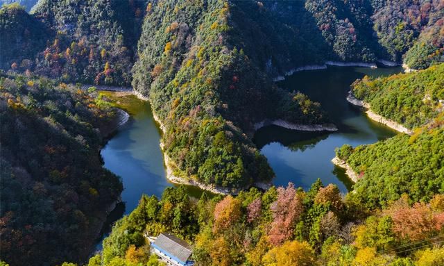 安徽又红了，大别山的叶子要红了(大别山在哪里)图6