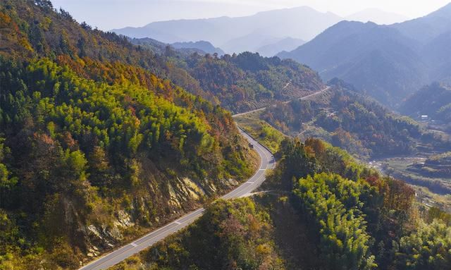 安徽又红了，大别山的叶子要红了(大别山在哪里)图7