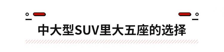 国产越野车大全价格及图片：帕拉索、荣威rx8、奔腾t99、奔腾t99怎么选？图9