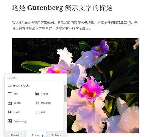 wordpressgutenberg开发新功能(word 公式编辑器)图1