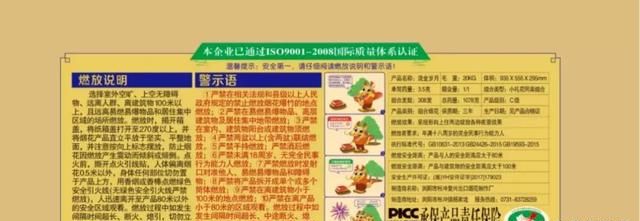 烟花爆竹燃放安全教育图7