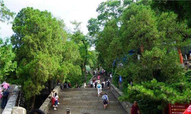 泰山海拔高度，中国人必游的泰山，海拔高度才1545米，登山很轻松，泰山最佳登山路程图12