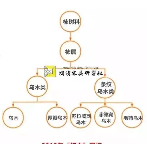 阴沉木是乌木还是楠木，阴沉木是乌木吗图5