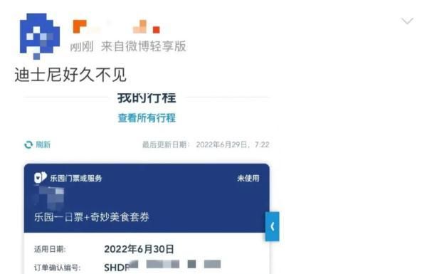 上海迪士尼刚开园的时候票价，上海迪士尼春节开园吗图4