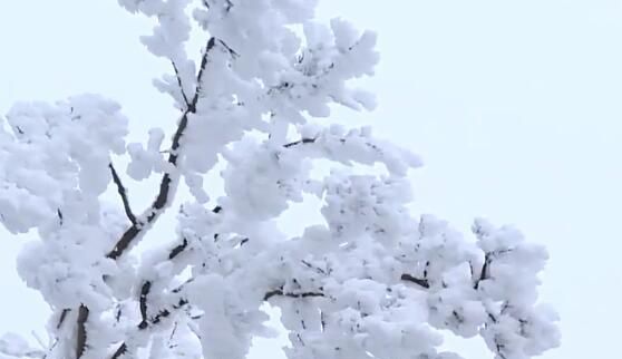 下雪天的心情经典句子适合发朋友圈，下雨降温的暖心说说发朋友圈图1