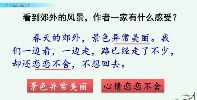 二年级下册语文《一匹出色的马》课件，二年级下册语文一匹出色的马全解图43