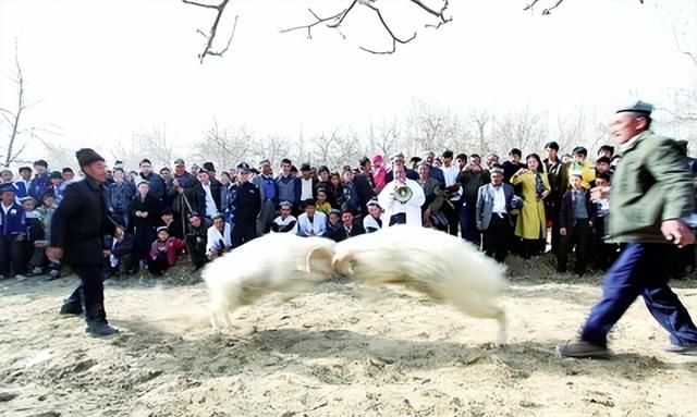 维吾尔族的节日，新疆维吾尔族主要的传统节日，新疆维吾尔族的传统节日有哪些图8