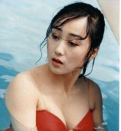 李连杰老婆叫什么利智，李连杰为啥这么爱利智图3