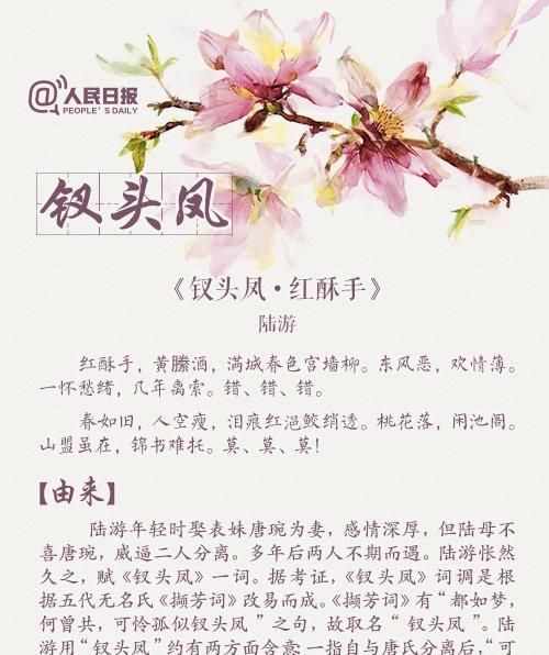 《人民日报》整理12大经典词牌名，细致讲解词牌来历、韵律格式！图3