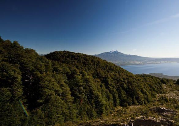 智利红酒中央山谷产区，走进智利中央山谷产区图6