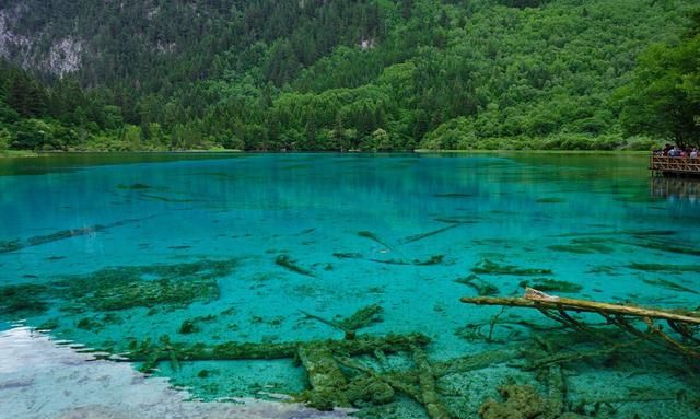 我国有许多名胜古迹和风景优美的地方,你去过什么地方图41