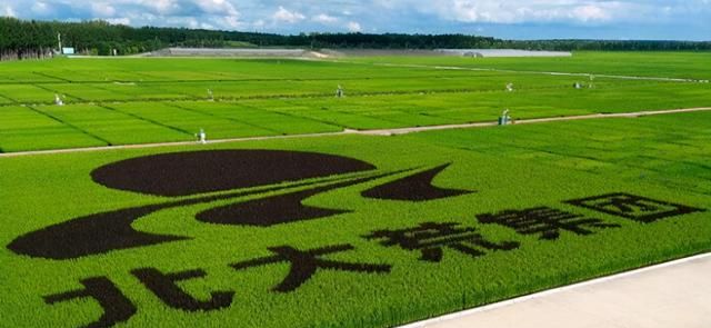 北大荒在哪，“北大荒”在哪里，现在怎么样了？，北大荒在哪里现在怎么样了图5