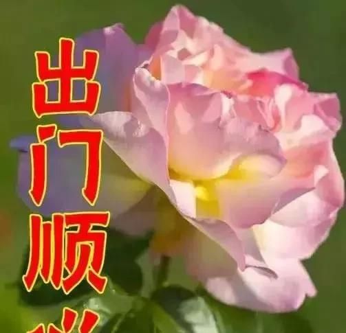 女人节祝福，今天4月14，女人节，最美祝福送给天下所有女人图11