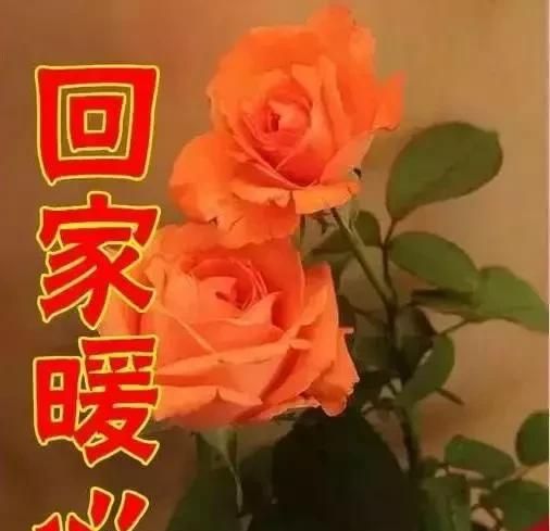 女人节祝福，今天4月14，女人节，最美祝福送给天下所有女人图12