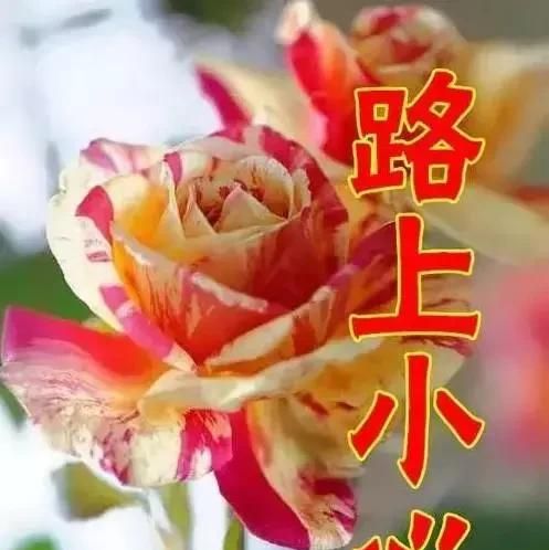 女人节祝福，今天4月14，女人节，最美祝福送给天下所有女人图14