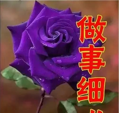 女人节祝福，今天4月14，女人节，最美祝福送给天下所有女人图17