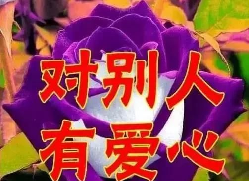 女人节祝福，今天4月14，女人节，最美祝福送给天下所有女人图20