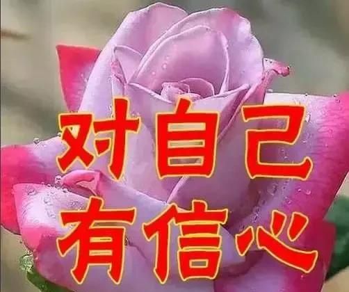 女人节祝福，今天4月14，女人节，最美祝福送给天下所有女人图21